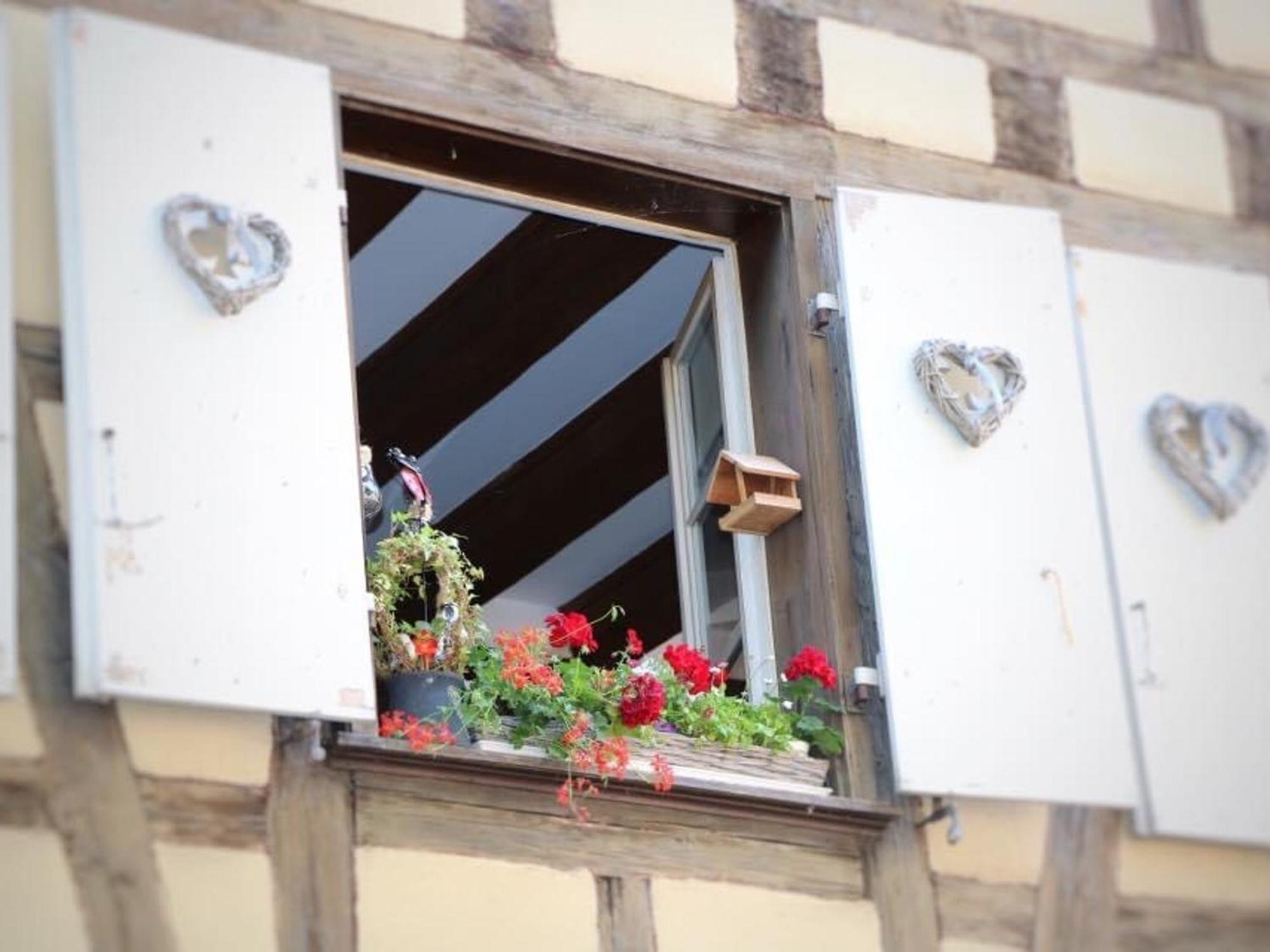Charmant Appart Avec Garage Et Terrasse Au Coeur De Colmar, Pres De La Route Des Vins D'Alsace - Fr-1-722-6 ภายนอก รูปภาพ