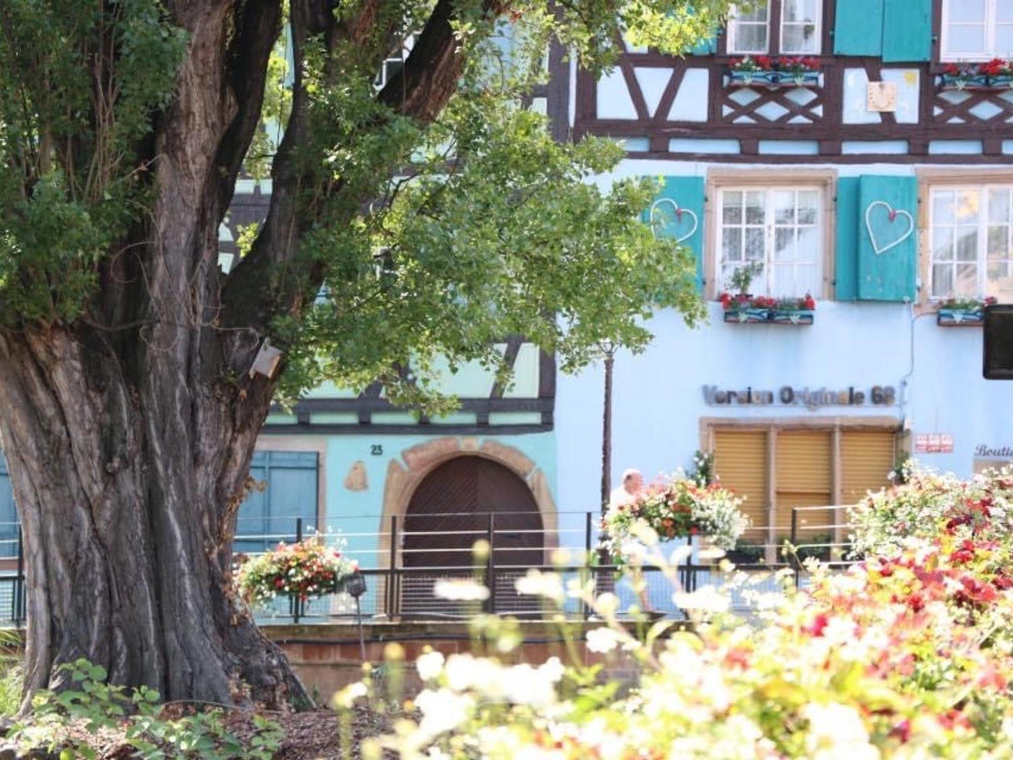Charmant Appart Avec Garage Et Terrasse Au Coeur De Colmar, Pres De La Route Des Vins D'Alsace - Fr-1-722-6 ภายนอก รูปภาพ